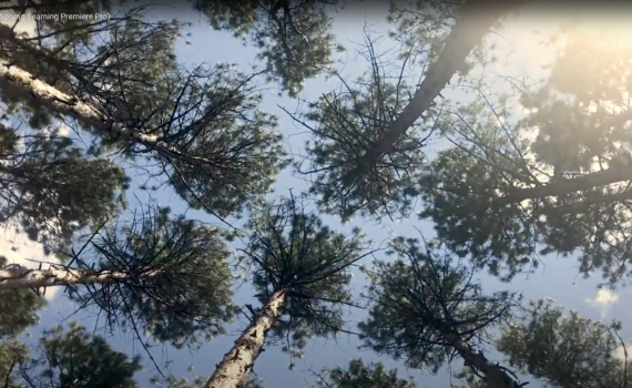 Nature & Adventure Thumbnail